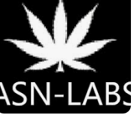 Asn Labs