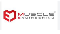 Muscle Engineering