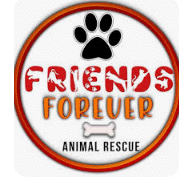 Furever Home Friends