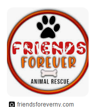 Furever Home Friends
