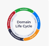 domain cycle