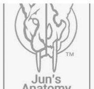 Jun's Anatomy