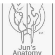 Jun's Anatomy