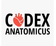 codex anatomicus