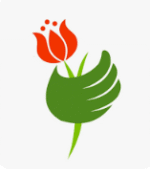 Daflores