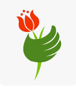Daflores