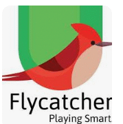 Flycatcher Toys