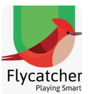 Flycatcher Toys