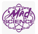 Mad Science