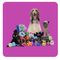 Discount Code for Super Chewer Dog Toys